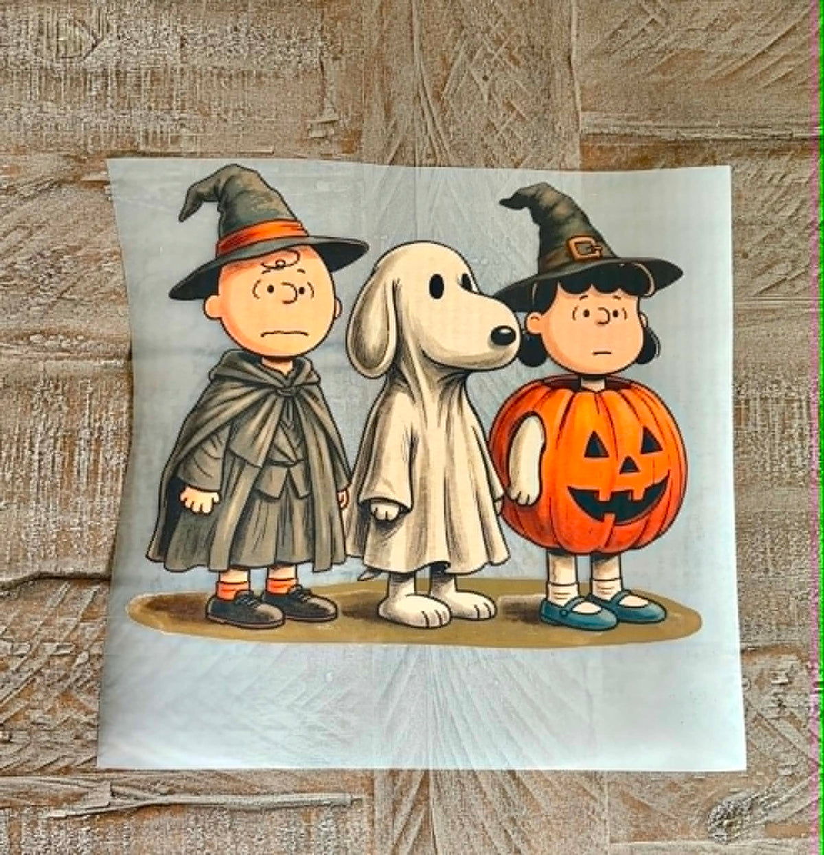 Charlie Brown Halloween (On Hand)